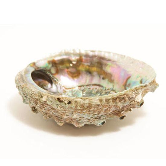 Smudge Ash Tray Burner - Abalone shell - Large 5"-6"